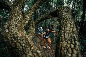 BIB: 
                            <button type="button" onclick="openModal(25392802)" class="btn btn-primary btn-sm float-right btn-popup" data-toggle="modal" data-target=".modal-high-quality">
                        <i class="fas fa-shopping-cart"></i> Add to Cart
                    </button>
                                            <button type="button" onclick="isThisMe(25392802, true)" class="btn btn-success btn-sm float-right btn-popup btn-isme hidden" data-toggle="tooltip" data-placement="bottom" title="นี่คือรูปของคุณใช่ไหม คลิกที่นี่เพื่อเอาเข้าอัลบั้ม">
                        <i class="fas fa-plus"></i> Add to album
                    </button>
                    <button type="button" onclick="isThisMe(25392802, false)" class="btn btn-warning btn-sm float-right btn-popup btn-isnotme hidden">
                        <i class="fas fa-ban"></i> Remove from album
                    </button>